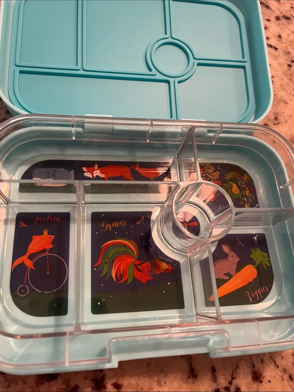 Aqua Blue Bento Lunch Box - Leakproof Kids Container